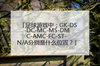 足球游戏中；GK-DS-DC-MC-MS-DMC-AMC-FC-ST-N/A分别是什么位置？