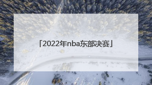 「2022年nba东部决赛」2022年nba东部决赛回放