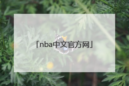 「nba中文官方网」中文NBA