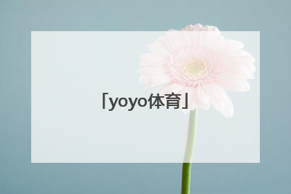 「yoyo体育」yoyo体育网页版
